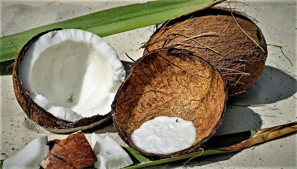 Vitaminas y propiedades químicas del coco
