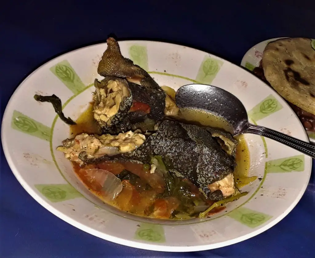 Carne de iguana, comida de iguana