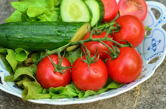 Ensalada de pepino y lechuga comida organica