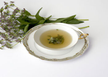 Beneficios del té de boldo para que sirven sus propiedades medicinales para la salud.